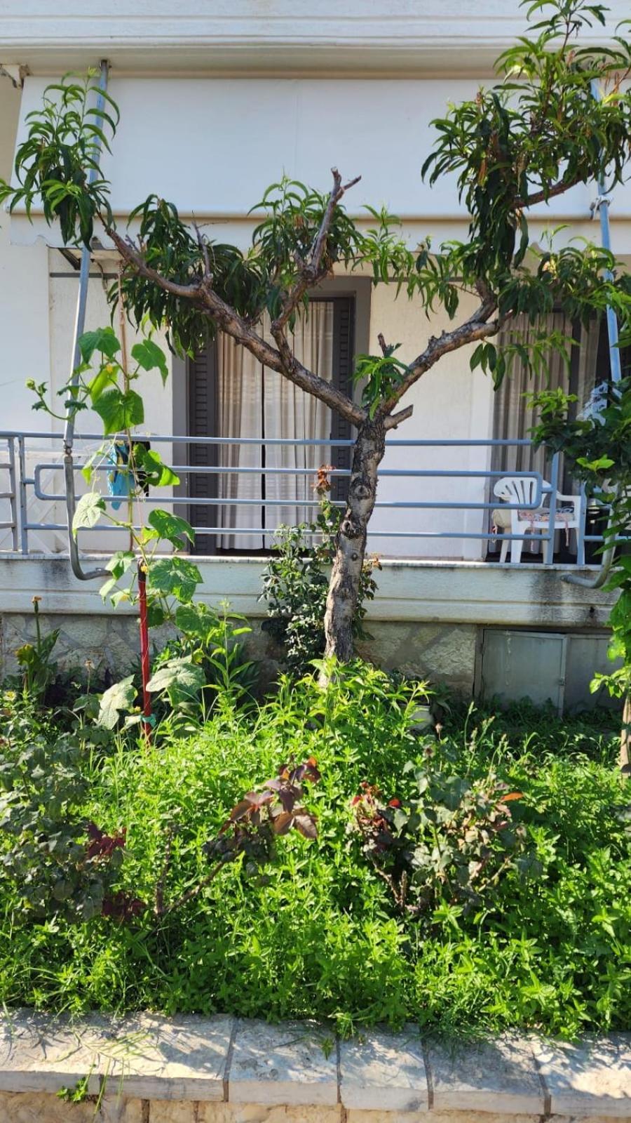 סרנדה Mohito Beach Apartment 5 מראה חיצוני תמונה
